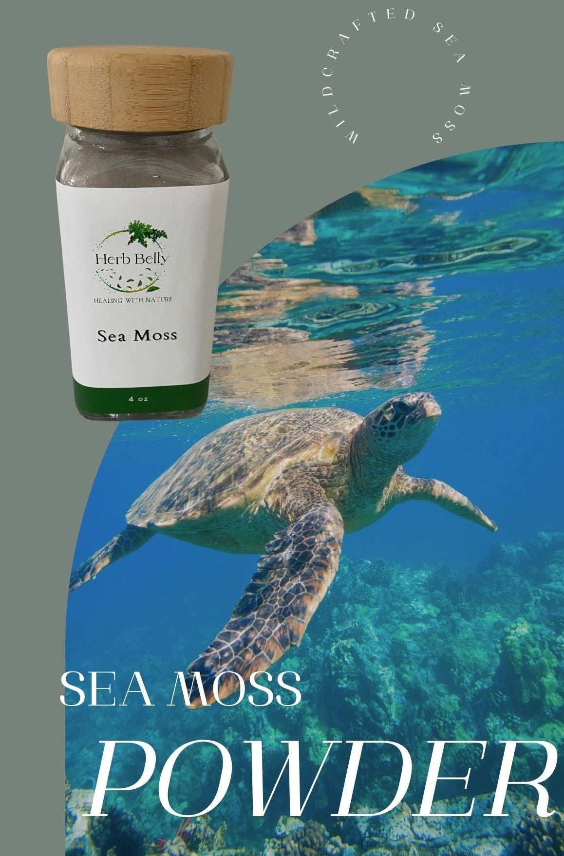 Sea Moss Powder